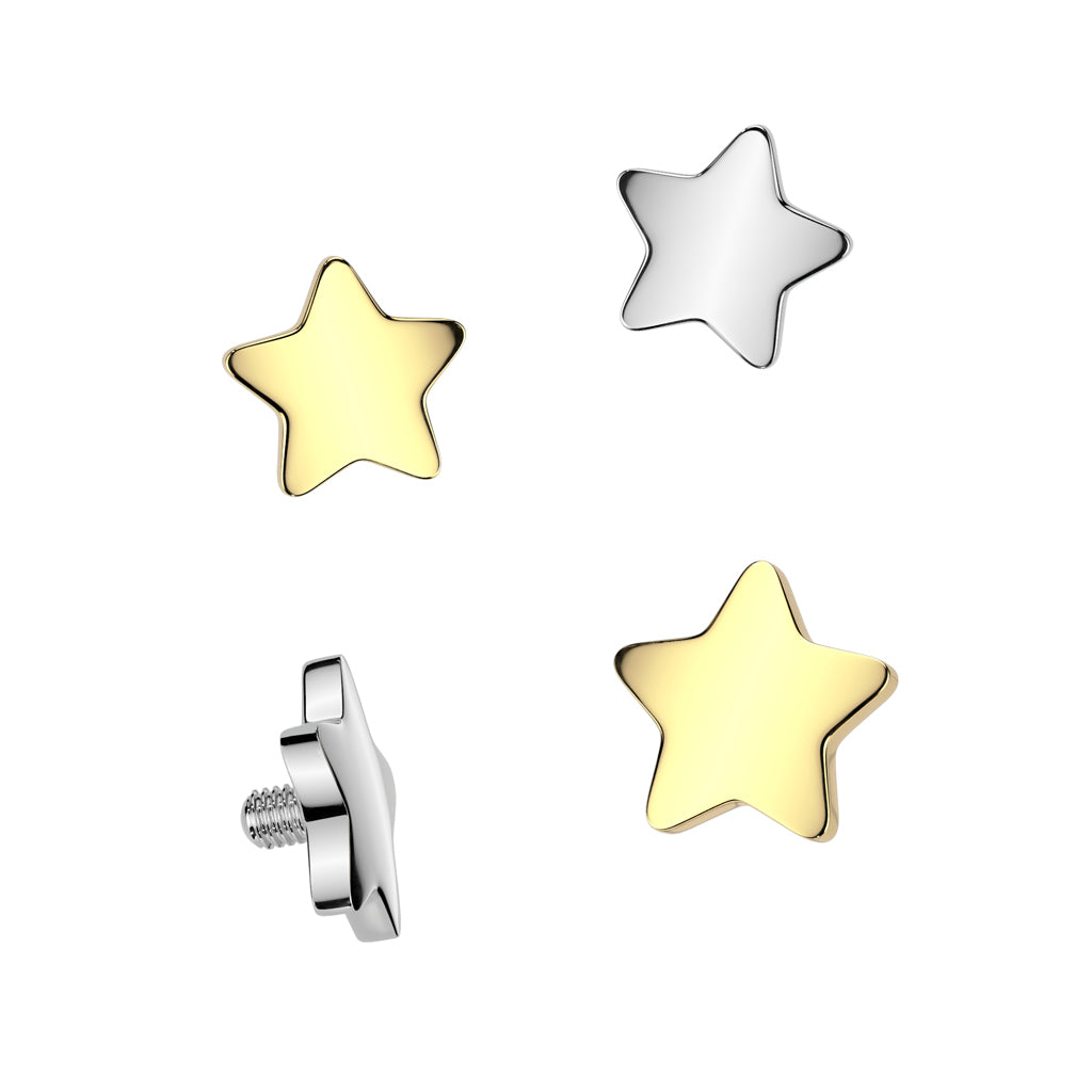 Implant Grade Titanium Internally Threaded Flat Star Top